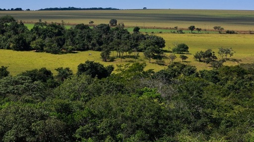 Qual a importância do cerrado para o agronegócio no Brasil?