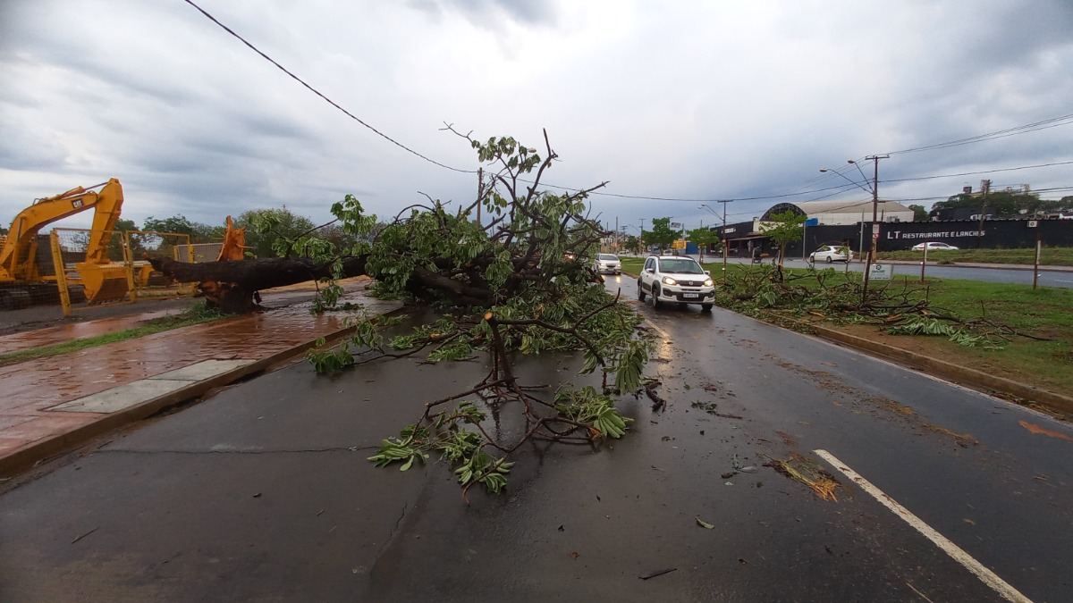 Região de Ribeirão Preto registra danos devido aos ventos e a chuva