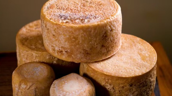 Como a criação de cabras mudou o rumo de uma família e gerou um negócio de sucesso