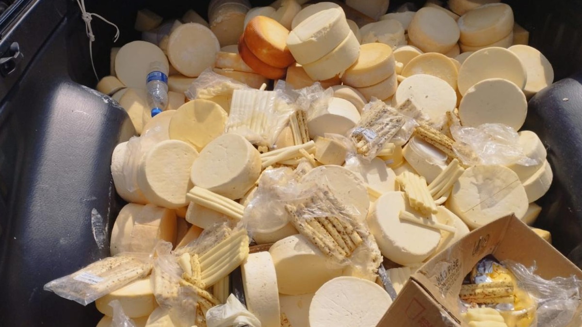 Descarte de 270 kg de queijo confiscados do Mercadão Central gera indignação nas redes