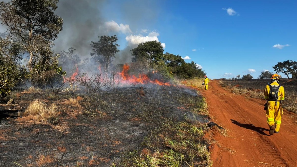 Mais de um milhão de hectares foram destruídos por incêndios em meados de agosto no estado