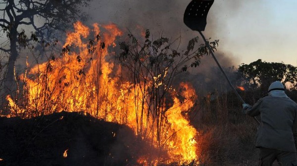 Dados divulgados pelo Inpe revelaram o maior número de focos de incêndio na floresta, para o mês de junho, desde 2007. (Foto: Reprodução/Agência Brasil) - Foto: Divulgação