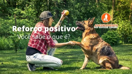 Você sabe o que é reforço positivo?