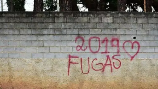 Projeto fotográfico da UFSCar recebe imagens e textos feitos na quarentena