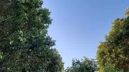 Veja como fica o tempo nesta terça em Ribeirão Preto e região
