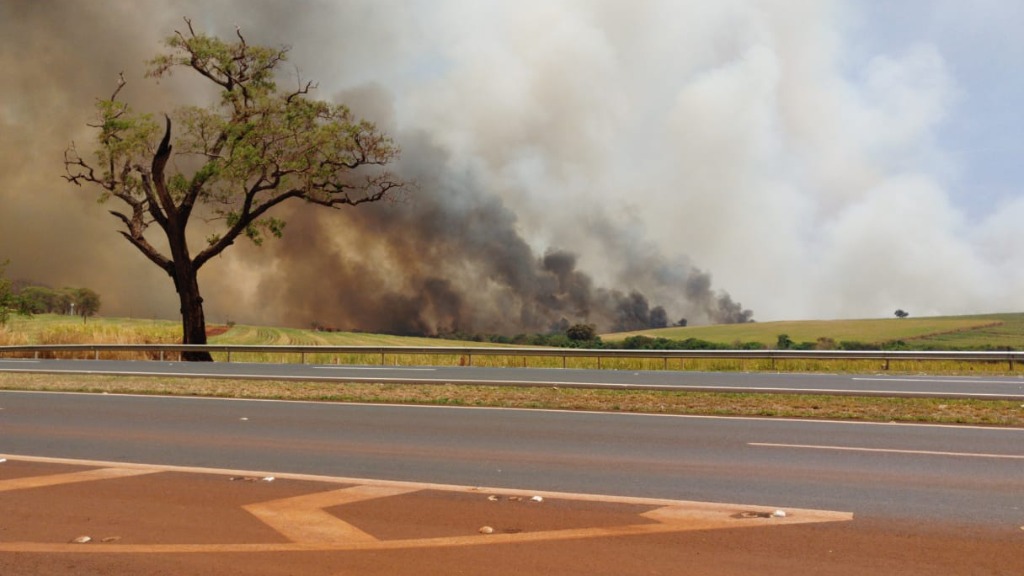 Concessionárias realizam ações para enfrentarem períodos de incêndios