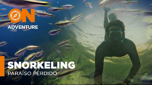 Snorkeling no Paraíso Perdido