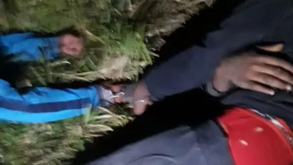 GM detém dupla tentando fugir com cavalos furtados de São Carlos