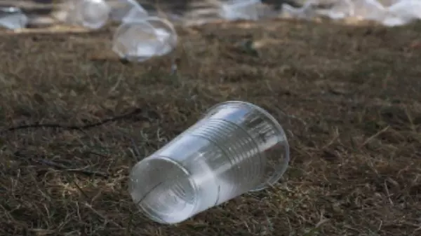 Meio Ambiente: como o tema pode aparecer nos vestibulares?