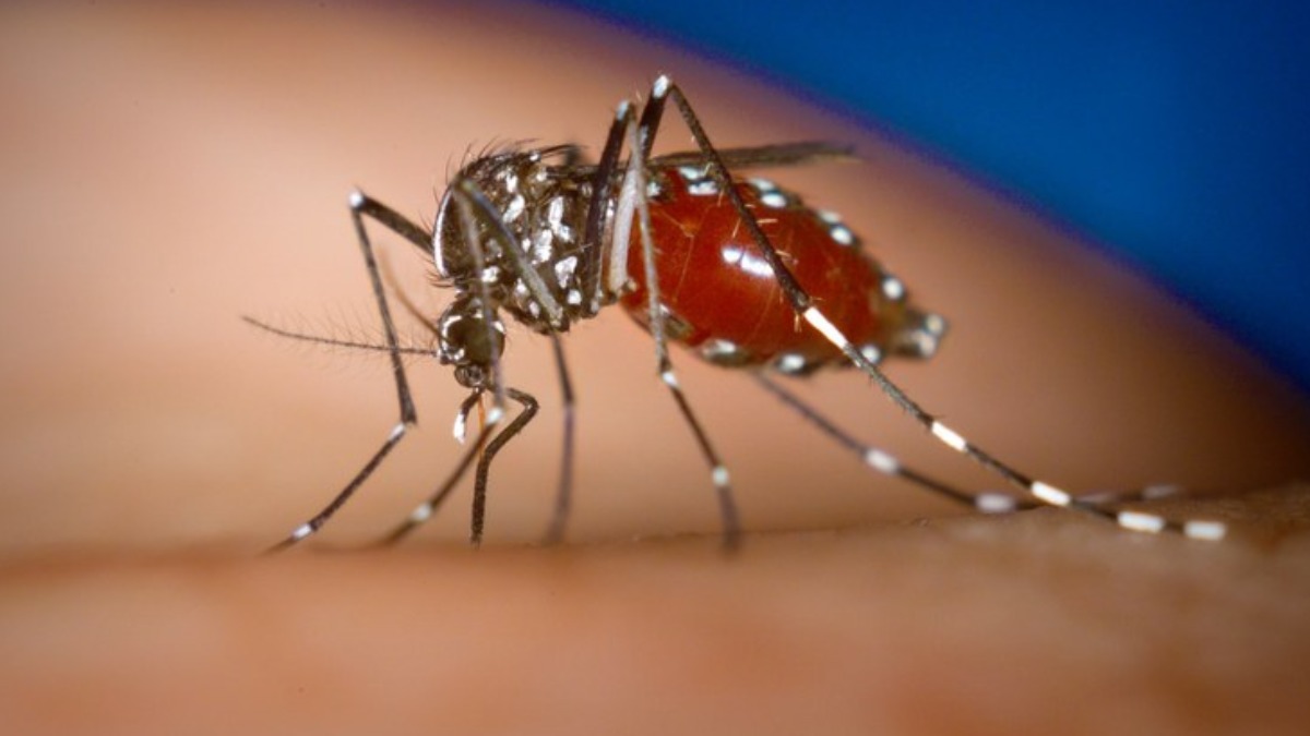 Franca registra a nona morte por dengue no ano nesta quarta-feira (24)