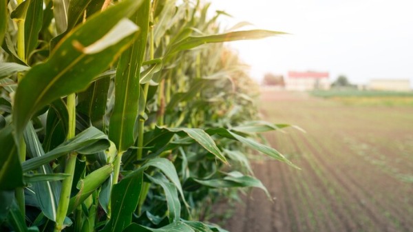 Agrishow 2025 começa com incertezas com relação ao Plano Safra