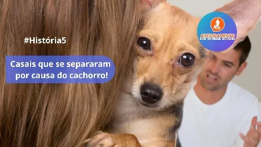 Casais que se separam por causa do cachorro! - #Historia5