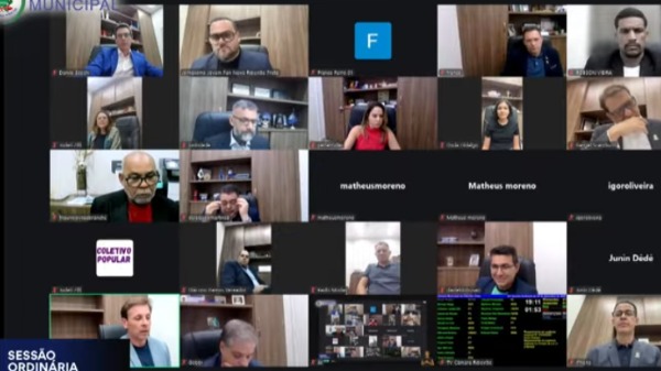 Sessão online - Foto: Reprodução/Câmara Municipal de Ribeirão Preto