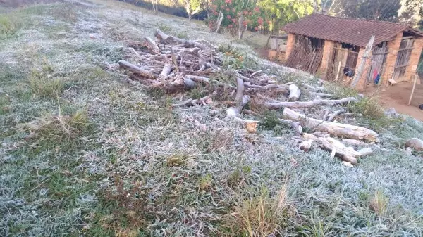 Com mínima de 2,2ºC, Socorro registra geada; veja fotos