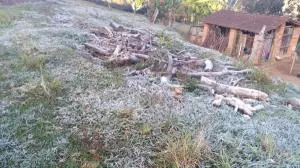 Com mínima de 2,2ºC, Socorro registra geada; veja fotos
