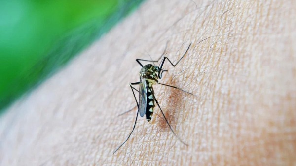 Ministério da Saúde coloca Ribeirão em 2º lugar na lista de cidades prioritárias no combate à dengue
