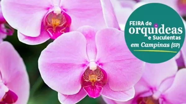 Feira de Orquídeas na Pedreira do Chapadão em Campinas (SP)