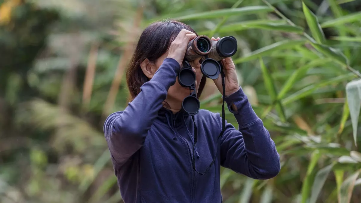O documentário "Eu Passarinho" aborda a história da observação de aves no Brasil