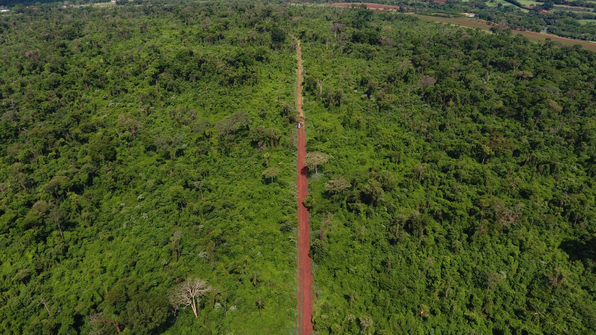 Trilha da Estação Ecológica de Ribeirão Preto terá caminhada educativa neste sábado (28)
