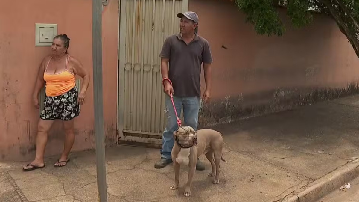 Vizinha diz que idosa atacada por pitbull não foi a primeira vítima do animal