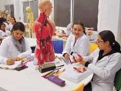 Formação do médico precisa combinar inovação e humanização