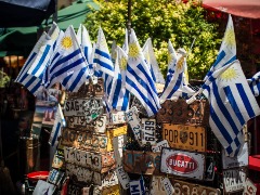 Uruguai: um roteiro para os amantes do vinho