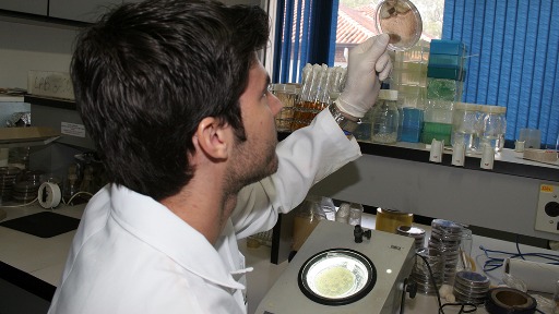 Quer saber o que os cientistas da USP estão pesquisando?