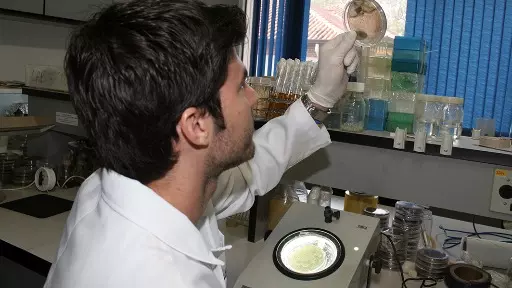 Quer saber o que os cientistas da USP estão pesquisando?