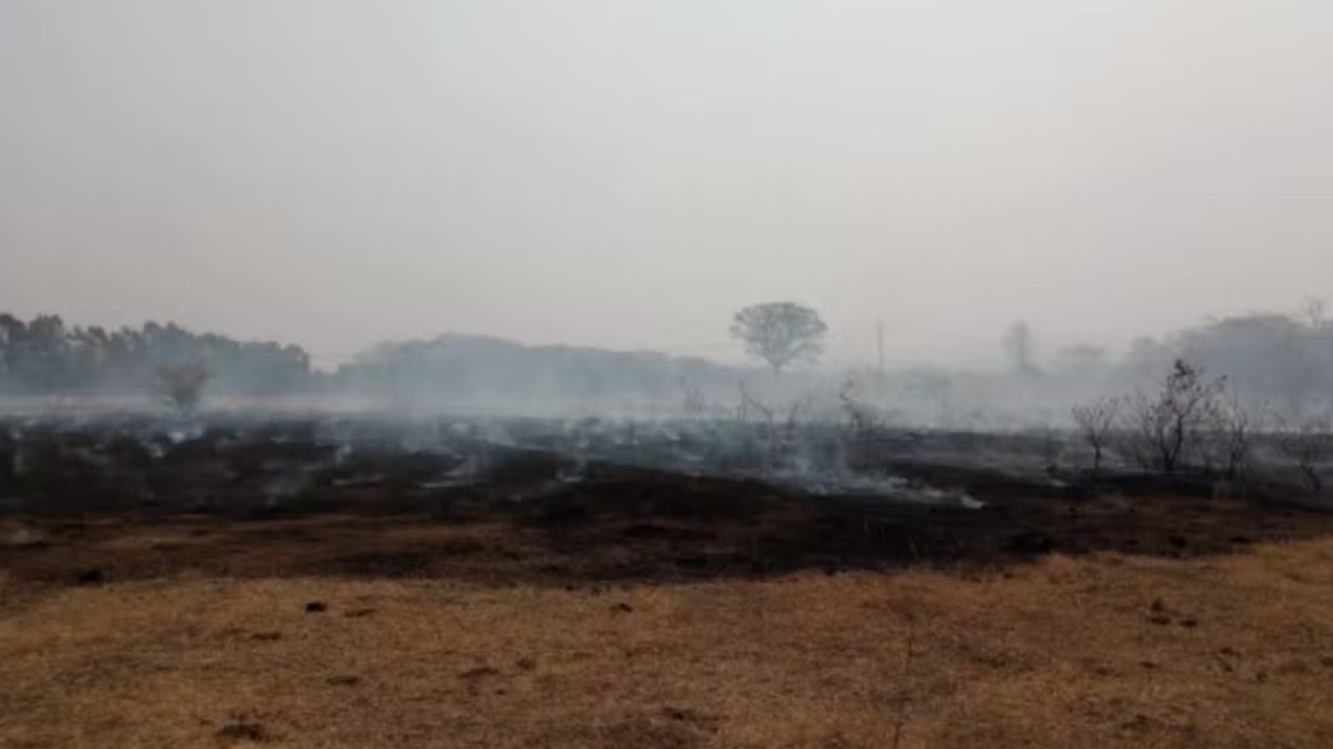 Três cidades da região estão com focos de incêndio ativos, segundo a Defesa Civil