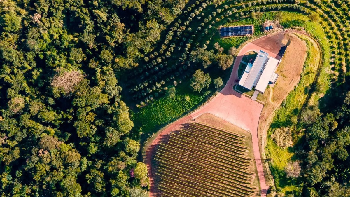 Conheça a premiada vinícola Terras Altas que fica em Ribeirão Preto