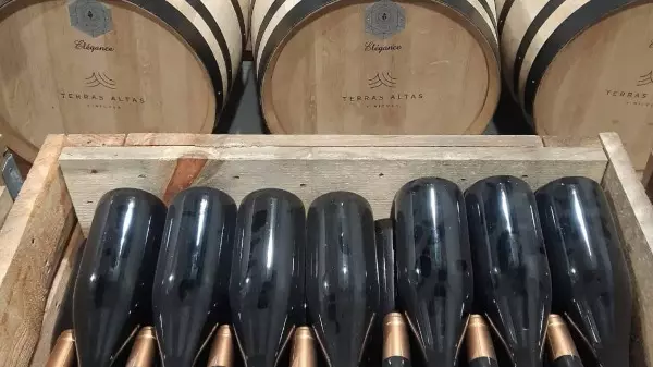 Vinícola de Ribeirão Preto tem vinho premiado na Europa